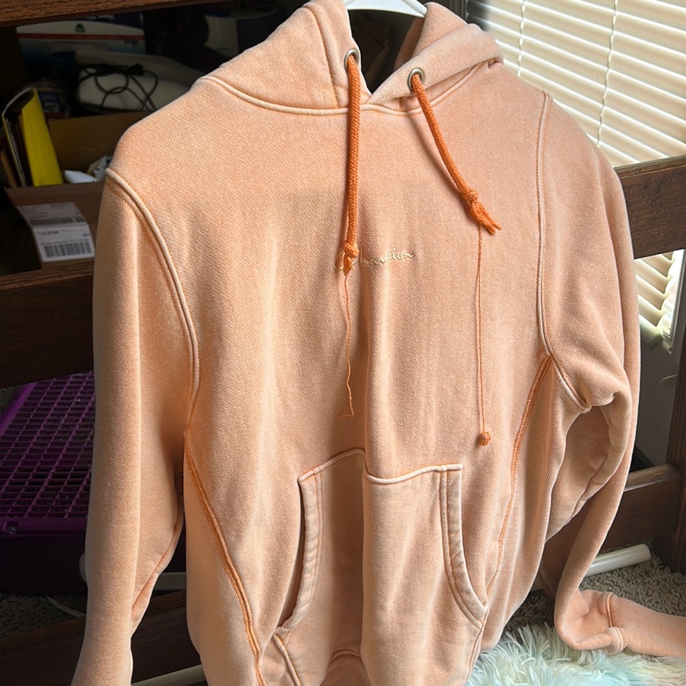urban outfitters champion hoodie